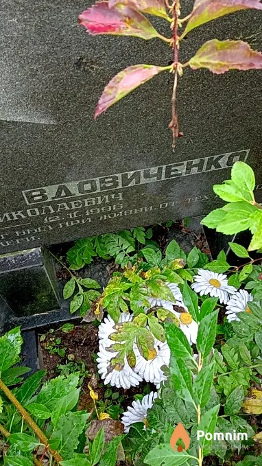 Вдовиченко Владимир Николаевич