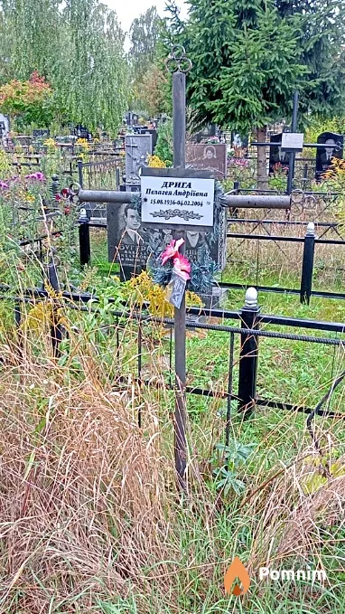 Дрига Пелагея Андріївна