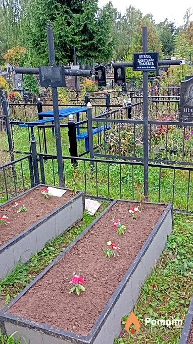 Шевель Анастасія Павлівна