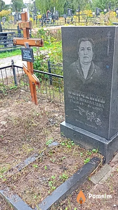 Усиченко Нюся Миколаївна