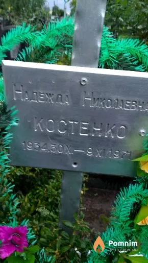 Костенко Надежда Николаевна