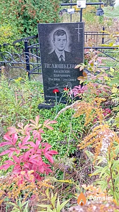 Пелюшкевич Анатолій Павлович