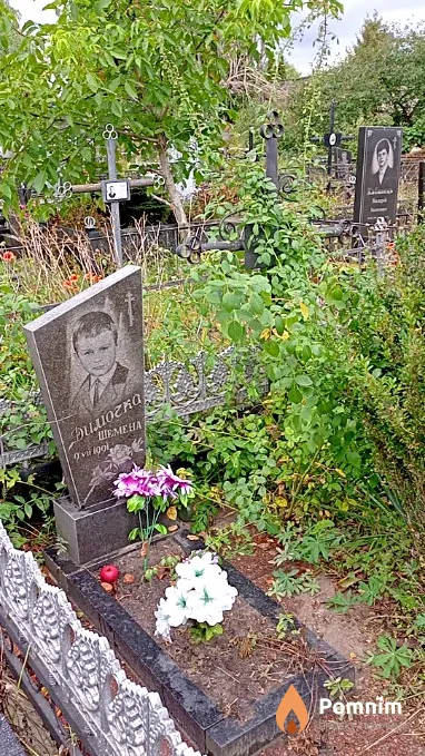Шемена Дмитрий