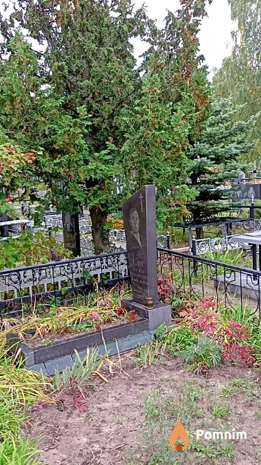 Сич Василь Григорович