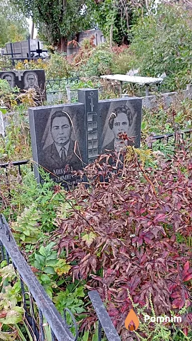 Гринцевич Микола Володимирович