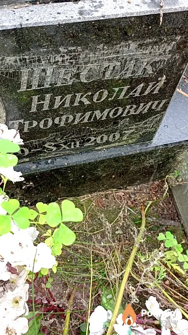 Шестак Николай Трофимович