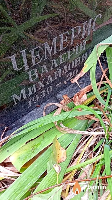 Чемерис Валерій Михайлович