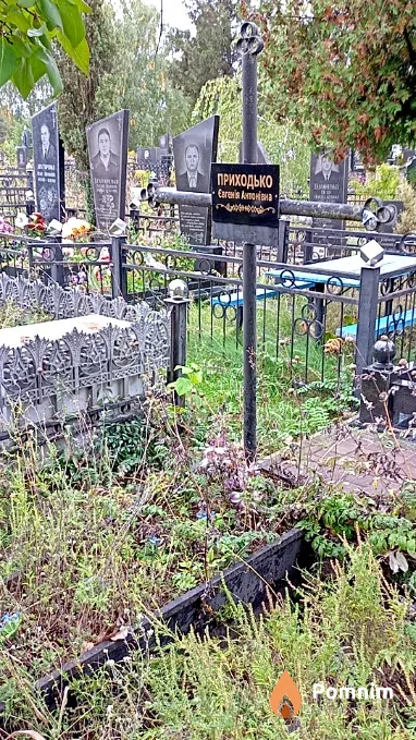 Приходько Євгенія Антонівна