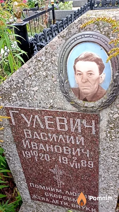 Гулевич Василий Иванович