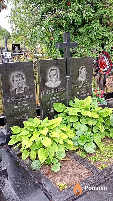 Косолап Василь Іванович