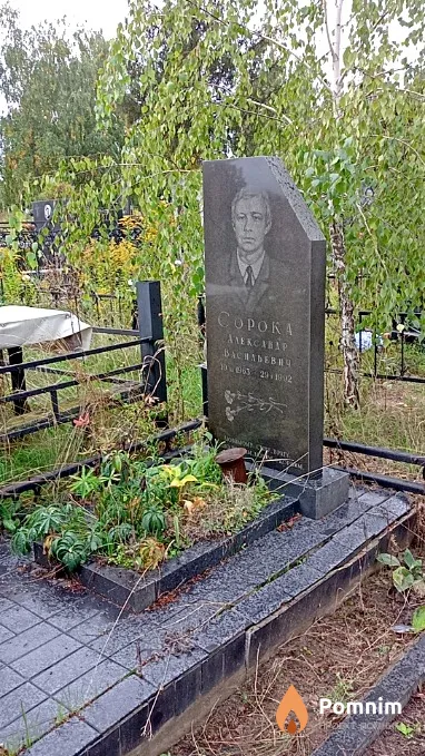 Сорока Александр Васильевич