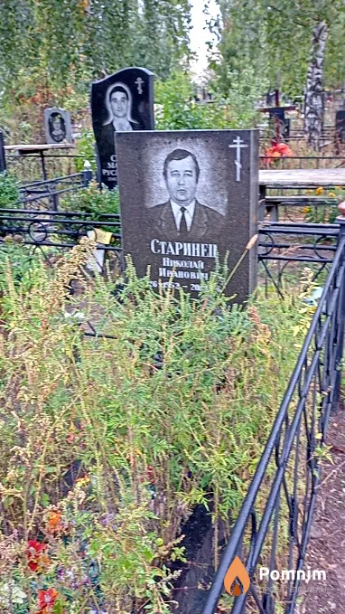 Старинец Николай Иванович