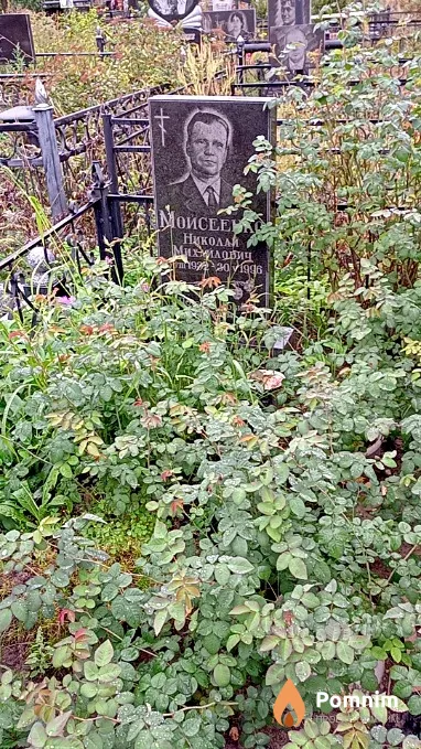 Мойсеенко Николай Михайлович