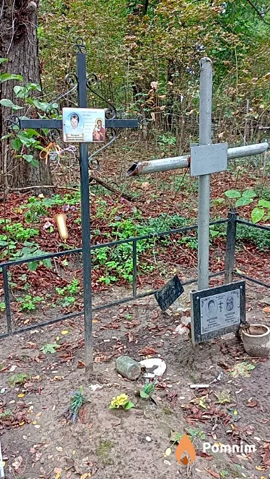 Борозняк Николай Николаевич