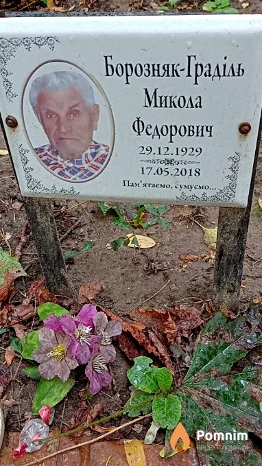 Борозняк-Граділь Микола Федорович