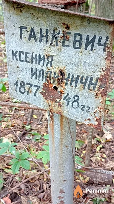Ганкевич Ксения
