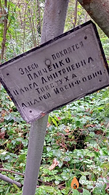 Товстуха Андрей Иосифович