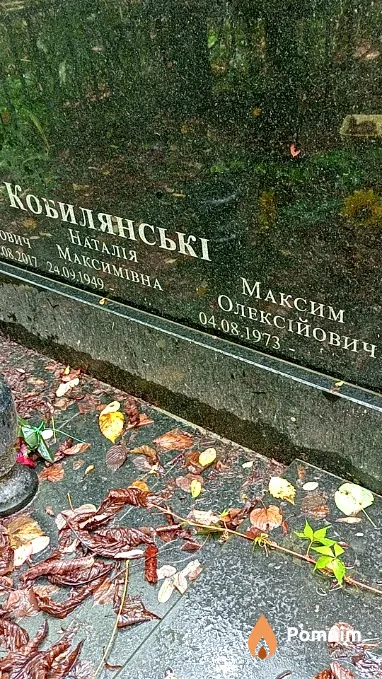 Кобилянський Максим Олексійович