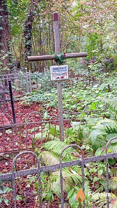 Щерба Анна Леонтьевна