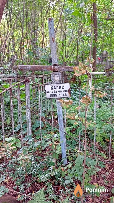 Валис Анна Лукинична