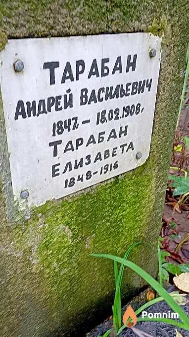 Тарабан Елизавета