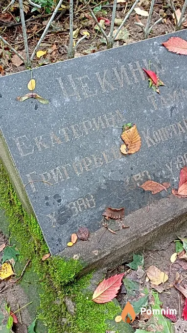 Чекина Екатерина Григорьевна