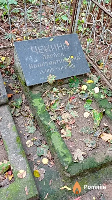 Чекина Лариса Константиновна