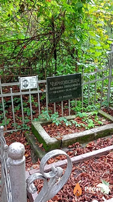 Данилина Наталия Александровна