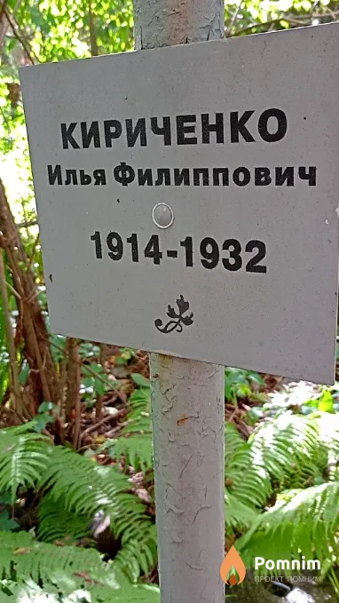 Кириченко Илья Филиппович