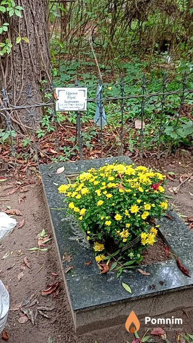 Ефремов Юрий Георгиевич