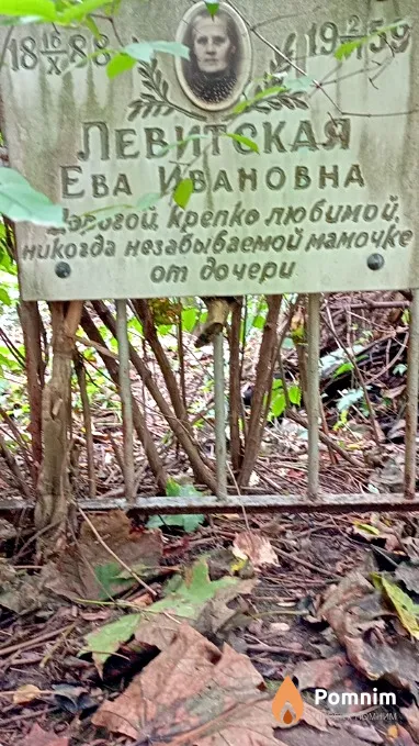 Левитская Ева Ивановна