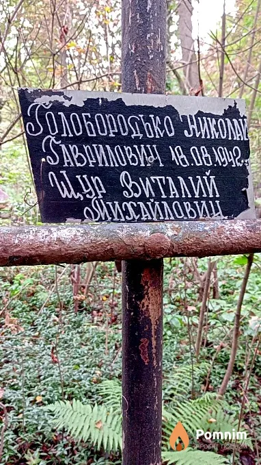 Щур Виталий Михайлович