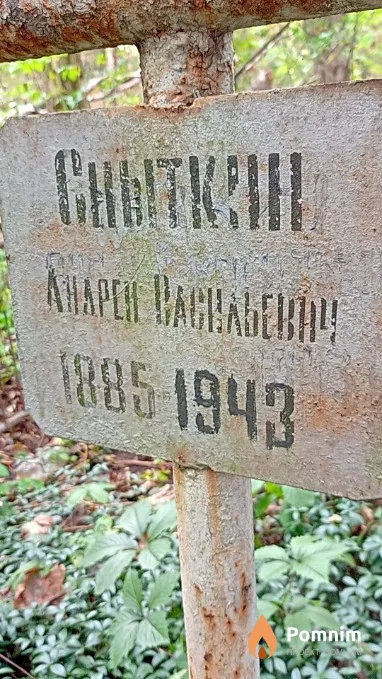 Сныткин Андрей Васильевич