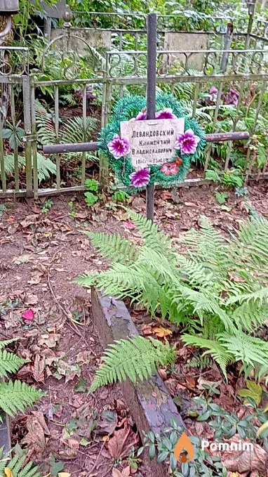 Левандовский Климентий Владиславович