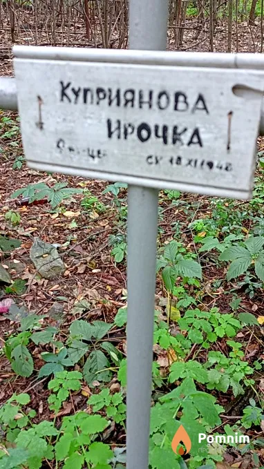Куприянова Ирина