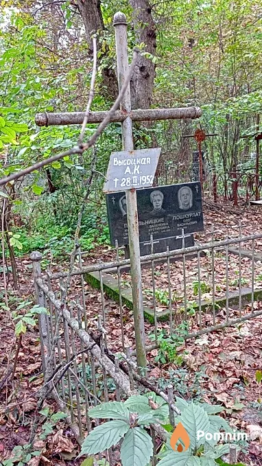 Высоцкая А К
