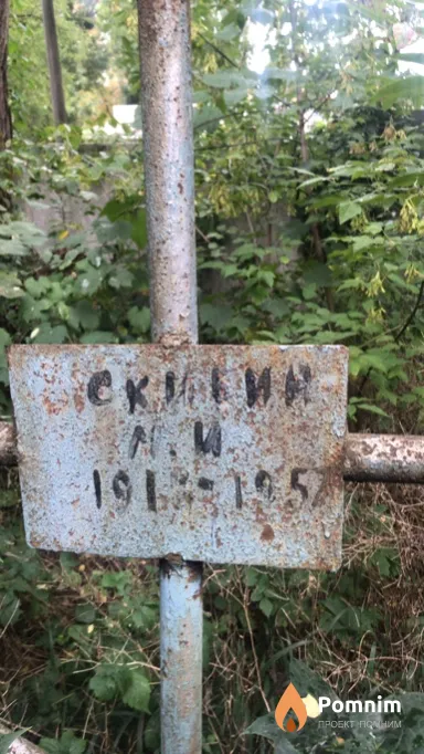 Скибин М И