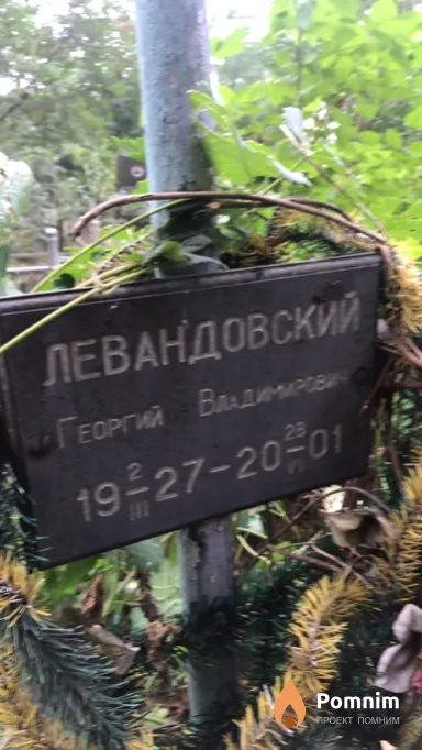 Левандовский Георгий Владимирович