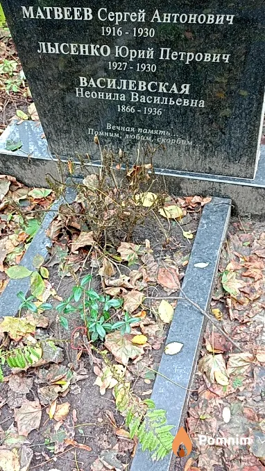 Матвеев Сергей Антонович