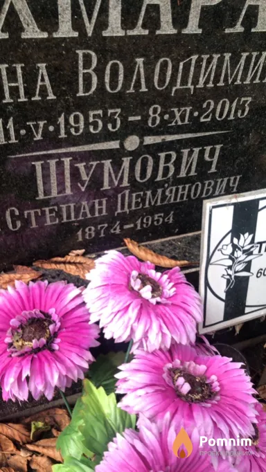 Шумович Степан Демьянович