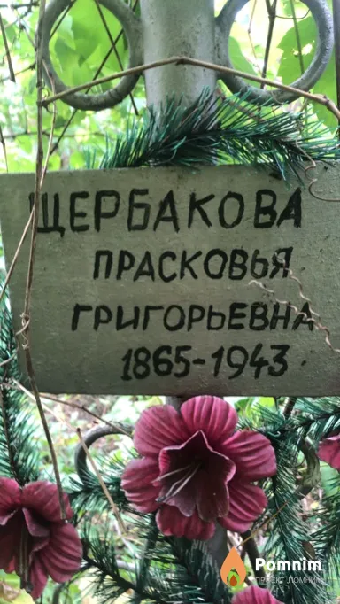 Щербакова Прасковыя Григорьевна