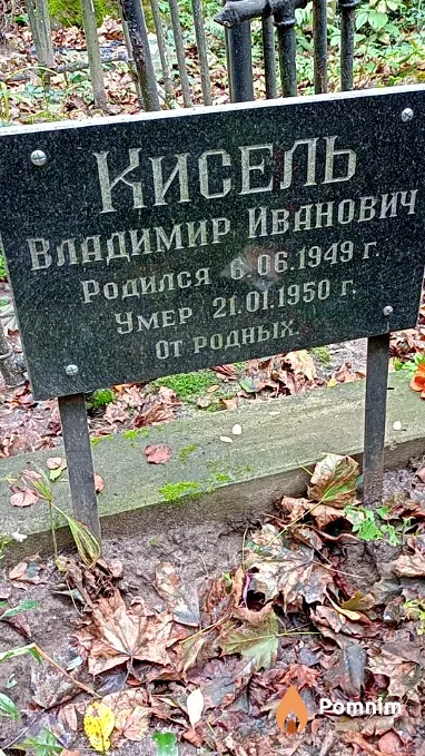 Кисель Владимир Иванович