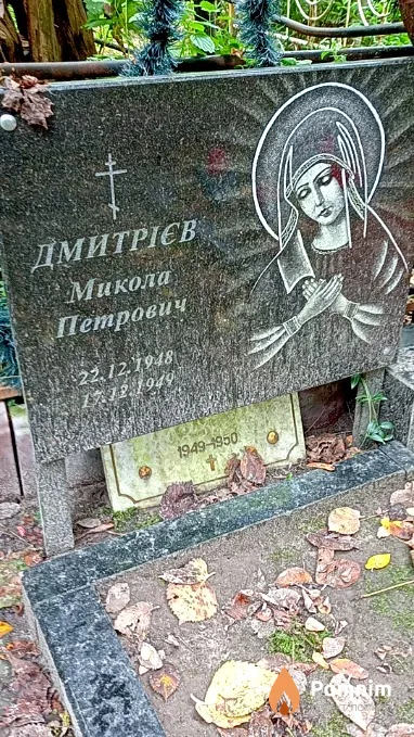 Дмитрієв Микола Петрович