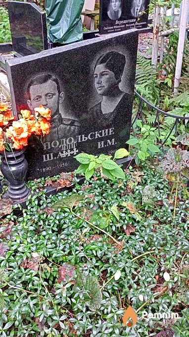 Подольская Ш А