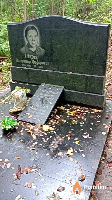 Давыдюк Александра Алексеевна