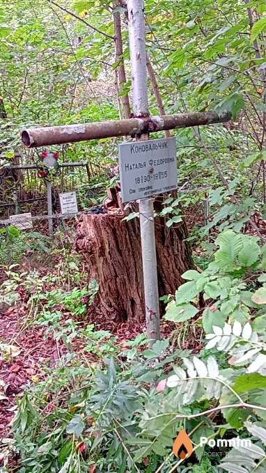 Коновальчук Наталья Федоровна