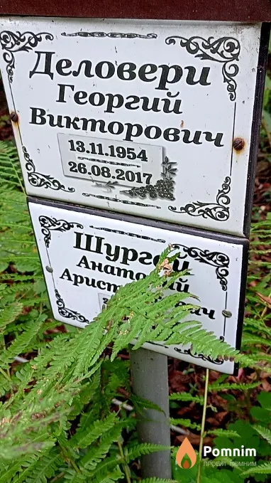 Деловери Георгий Викторович