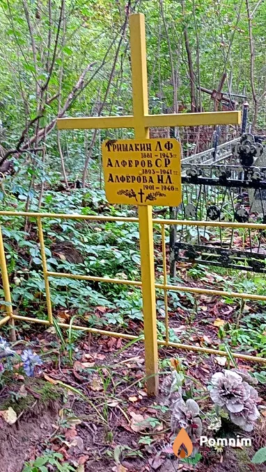 Алфёрова Н Л