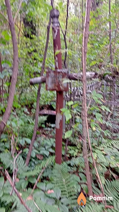 Донцов Д А