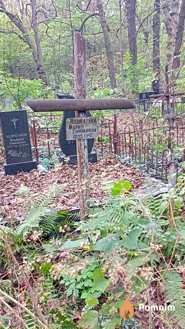 Пушкарева Мария Ефимовна